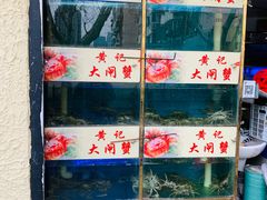 -黄记大闸蟹专卖店·活蟹·醉蟹