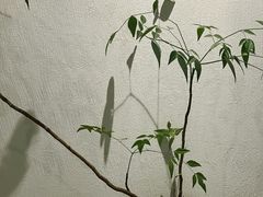 -花迹(富春江东街店)