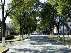 -太阳岛度假酒店