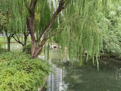 -和平公园