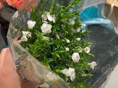 -盒马鲜生(189购物中心店)