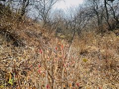 -玉渡山自然风景区