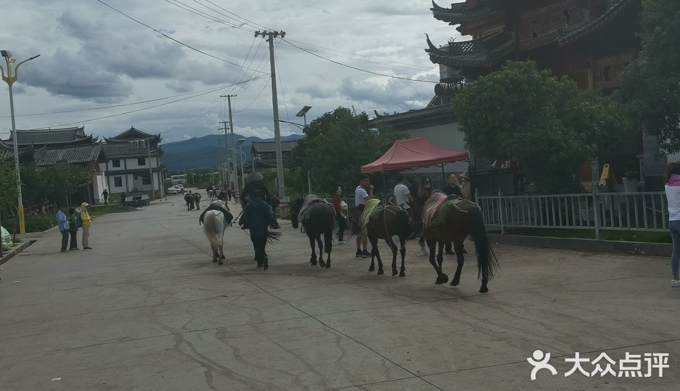 云南旅游之一，茶马古道和网红打卡地空城之境