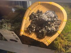 -滇野云南野生菌餐厅(陕西南路店)