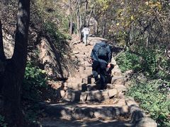 -大岭沟猕猴桃谷风景区