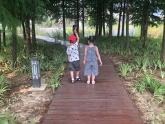 -水月周庄铂尔曼酒店-水月荟中餐厅