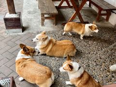 -茶米人台湾料理·精致快简餐