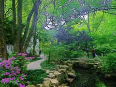 -上海醉白池公园