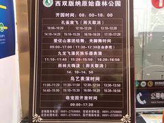 -西双版纳原始森林公园