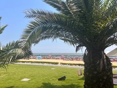 -碧海金沙