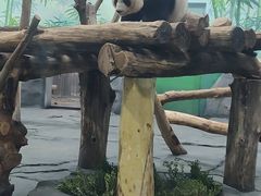 -秦皇岛野生动物园