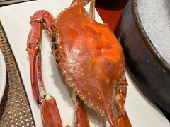 -京和日法料理(枫林街店)