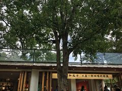 -塔川景区