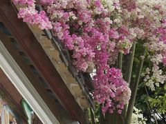 -深圳国际园林花卉博览园