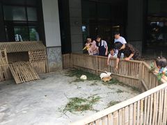 -宁波九龙湖开元度假村