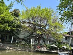 -喜洲吧·江畔老船厂·庭院餐厅(喜临院店)