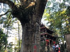 -安溪清水岩