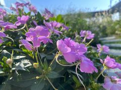 -五月花商业广场(中山五路店)