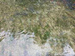 -水磨沟公园