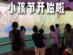 -太平洋海底世界