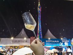 -海心沙亚运公园