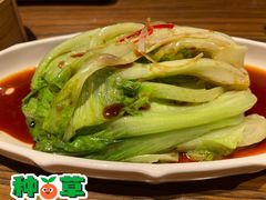 -珍宝轩海鲜火锅(碧湖大厦店)