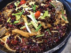 -老板恋上鱼(恒隆广场店)