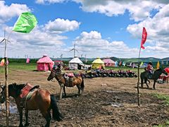 -塞罕坝国家级自然保护区