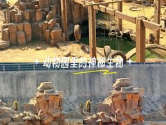 -太子山公园(园东路)
