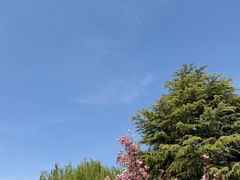 -石家庄市植物园