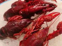 精品花雕冰镇龙虾-杨氏青龙虾·羊蝎子(金盛路总店)