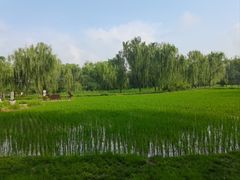 -北坞公园