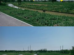 -花开海上生态园