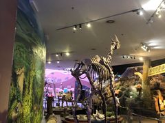 -陕西自然博物馆