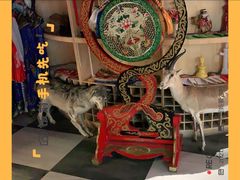 -老阿妈蒙古村·蒙古包·草原文化·歌舞表演(老君堂店)