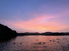 -佛手湖郊野公园