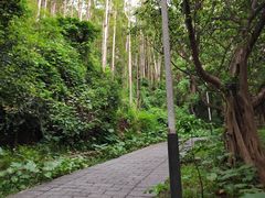 -水濂山森林公园