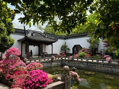 -上海醉白池公园