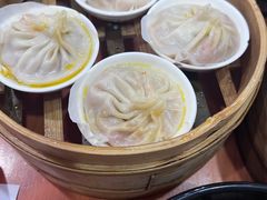 -莱莱小笼·乔艾