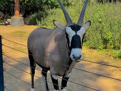 -大连森林动物园