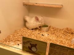 -龙猫仔乐园(惠福东路店)