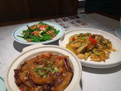 -大榕树下顺德菜(融创茂店)