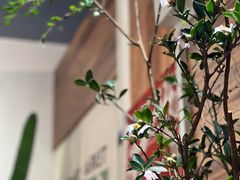 -琥珀咖啡 Ambercoffee