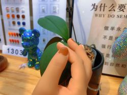 -M13瑾玳•专业美甲美睫