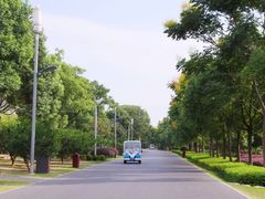 电瓶车-橘子洲景区