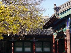-张学良旧居陈列馆