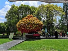 -狼山风景名胜区