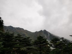 -牛背梁国家森林公园
