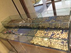 -比亚森自助烤肉料理(裕华店)