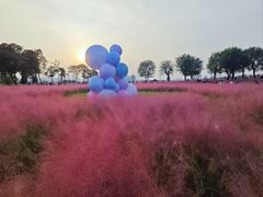 -汉长安城未央宫国家考古遗址公园